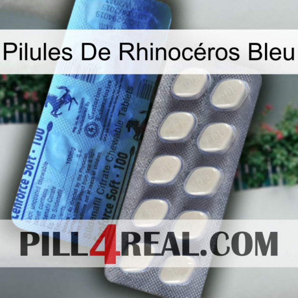 Pilules De Rhinocéros Bleu 34